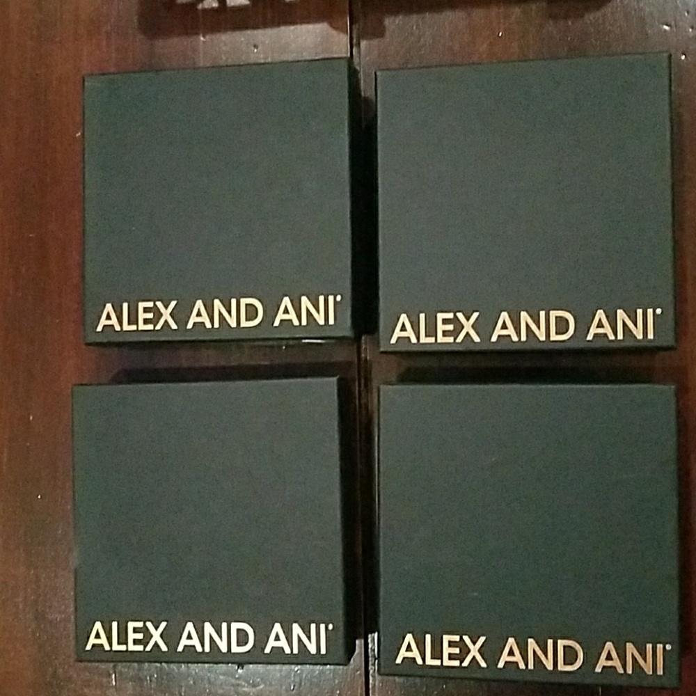 Alex and ani boxes